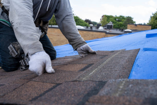 Best Roofing Contractor Near Me  in Nelsonville, OH