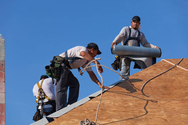 Best Roof Maintenance Services  in Nelsonville, OH