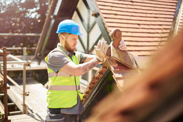 Best Roof Restoration Services  in Nelsonville, OH